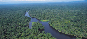 tortuguero_63